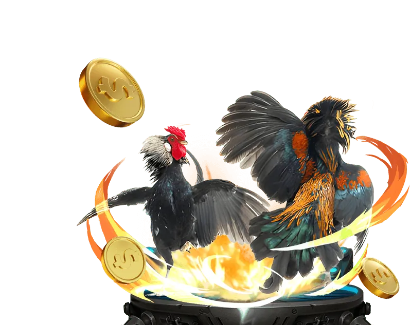 Phát trực tiếp đá gà HD Y88 Games