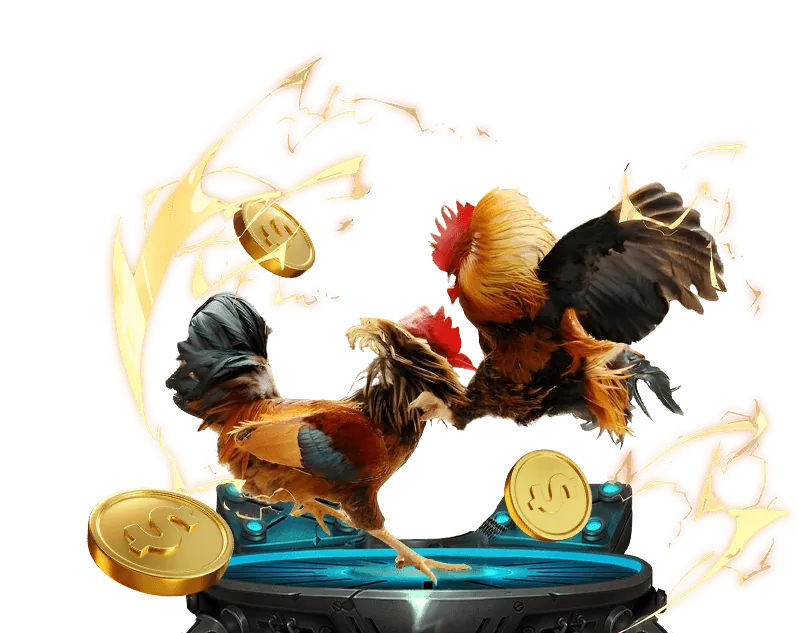 Đa dạng trận đấu gà Y88 Games